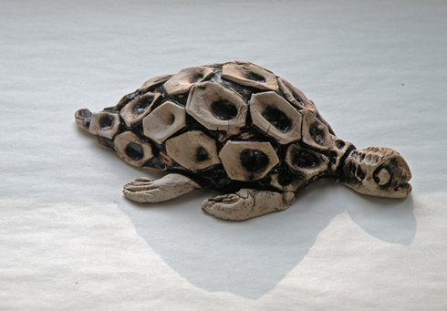 Młody żółwik