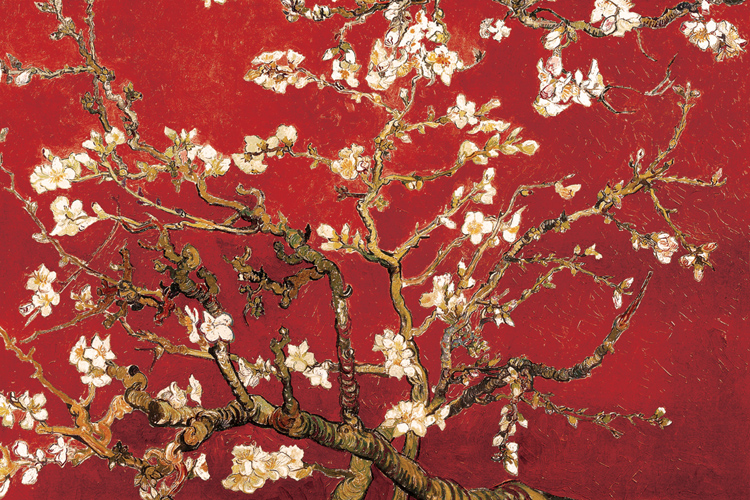 Almond Blossom - Red Interpretation